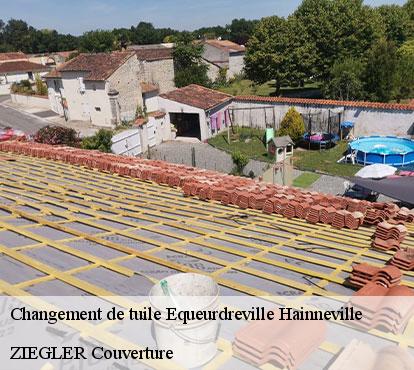 Changement de tuile  equeurdreville-hainneville-50120 ZIEGLER Couverture 