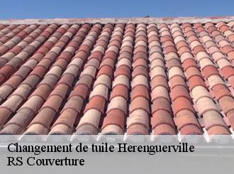 Changement de tuile herenguerville-50660 RS Couverture