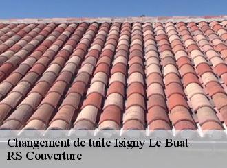Changement de tuile isigny-le-buat-50540 RS Couverture