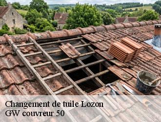 Changement de tuile lozon-50570 GW couvreur 50