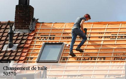 Changement de tuile lozon-50570 GW couvreur 50