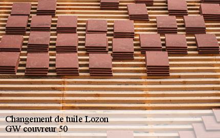 Changement de tuile lozon-50570 GW couvreur 50