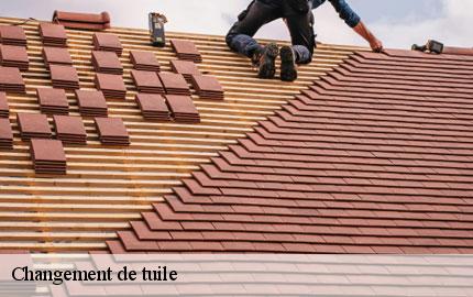 Changement de tuile  marchesieux-50190 GW couvreur 50