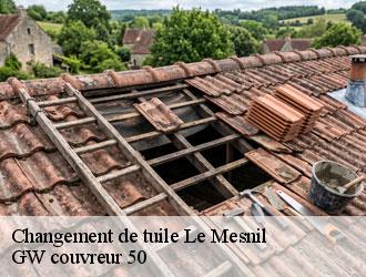 Changement de tuile  le-mesnil-50580 GW couvreur 50