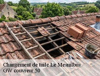 Changement de tuile le-mesnilbus-50490 GW couvreur 50