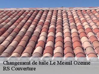 Changement de tuile le-mesnil-ozenne-50220 RS Couverture