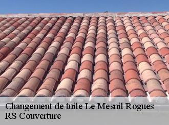 Changement de tuile le-mesnil-rogues-50450 RS Couverture