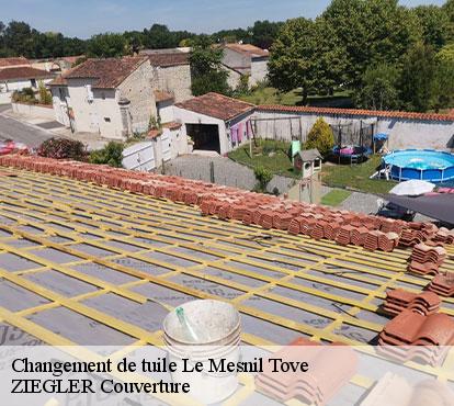 Changement de tuile le-mesnil-tove-50520 ZIEGLER Couverture