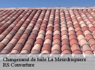 Changement de tuile  la-meurdraquiere-50510 RS Couverture 