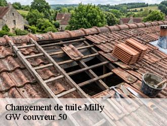 Changement de tuile milly-50600 GW couvreur 50