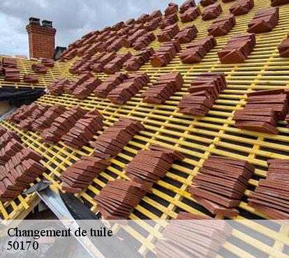 Changement de tuile  50170