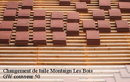 Changement de tuile montaigu-les-bois-50450 GW couvreur 50