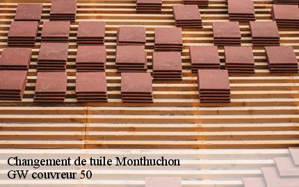 Changement de tuile monthuchon-50200 GW couvreur 50