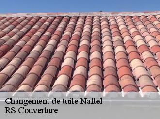 Changement de tuile naftel-50540 RS Couverture