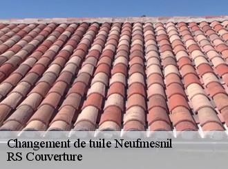 Changement de tuile neufmesnil-50250 RS Couverture