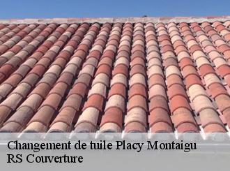 Changement de tuile  placy-montaigu-50160 RS Couverture 