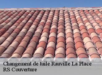 Changement de tuile rauville-la-place-50390 RS Couverture