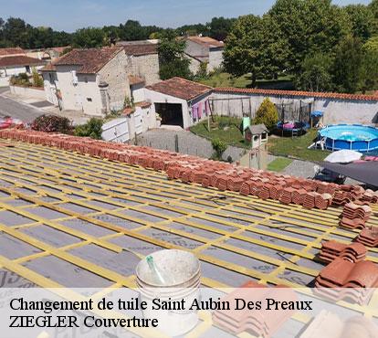Changement de tuile  saint-aubin-des-preaux-50380 ZIEGLER Couverture