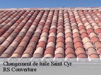 Changement de tuile saint-cyr-50310 RS Couverture