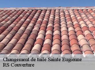 Changement de tuile sainte-eugienne-50870 RS Couverture