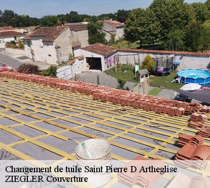 Changement de tuile  saint-pierre-d-artheglise-50270 ZIEGLER Couverture 