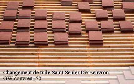 Changement de tuile  saint-senier-de-beuvron-50240 GW couvreur 50