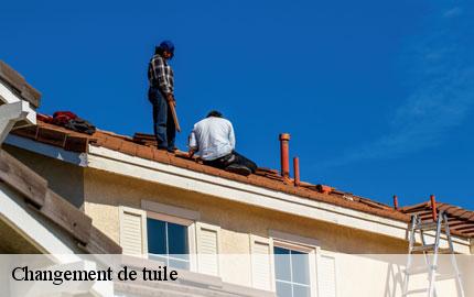 Changement de tuile  saint-senier-de-beuvron-50240 GW couvreur 50