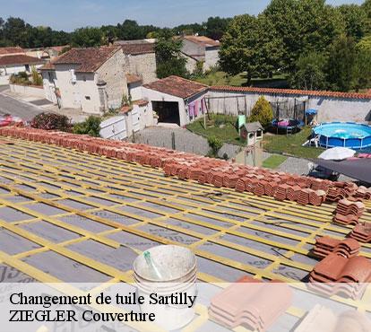 Changement de tuile sartilly-50530 ZIEGLER Couverture