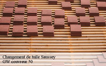 Changement de tuile saussey-50200 GW couvreur 50