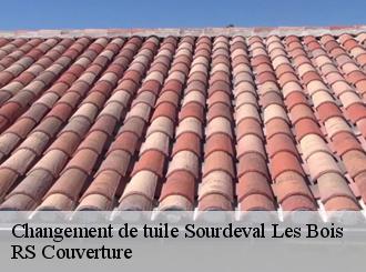 Changement de tuile sourdeval-les-bois-50450 RS Couverture