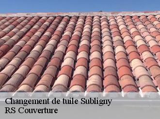 Changement de tuile subligny-50870 RS Couverture