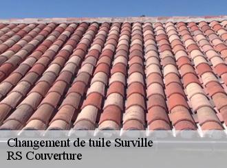 Changement de tuile surville-50250 RS Couverture