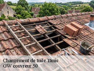Changement de tuile tanis-50170 GW couvreur 50