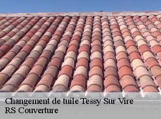 Changement de tuile tessy-sur-vire-50420 RS Couverture
