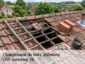 Changement de tuile tribehou-50620 GW couvreur 50