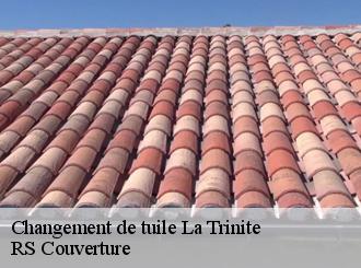 Changement de tuile la-trinite-50800 RS Couverture