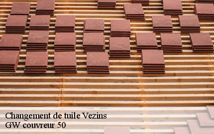 Changement de tuile vezins-50540 GW couvreur 50