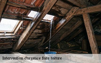 Intervention d'urgence fuite toiture acqueville-50440 GW couvreur 50