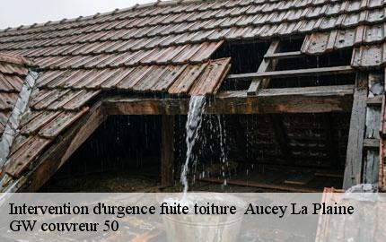 Intervention d'urgence fuite toiture aucey-la-plaine-50170 GW couvreur 50