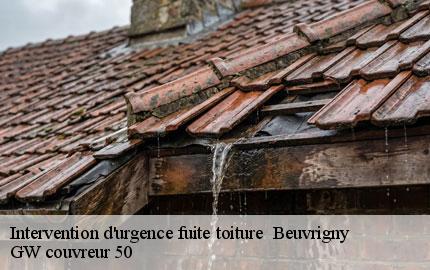 Intervention d'urgence fuite toiture beuvrigny-50420 GW couvreur 50