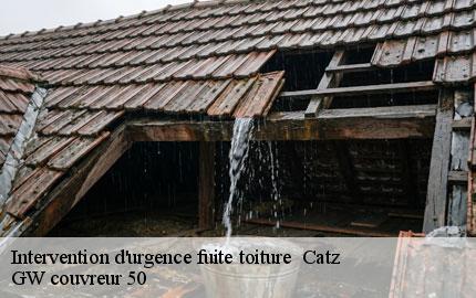 Intervention d'urgence fuite toiture catz-50500 GW couvreur 50