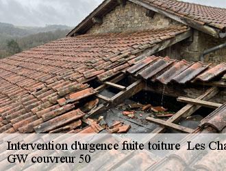 Intervention d'urgence fuite toiture les-champs-de-losque-50620 GW couvreur 50