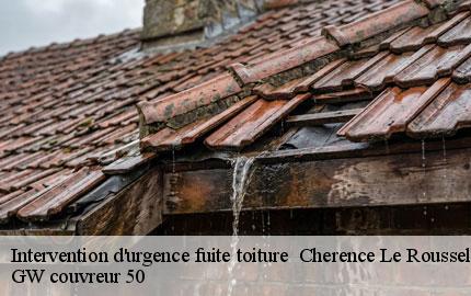 Intervention d'urgence fuite toiture cherence-le-roussel-50520 GW couvreur 50