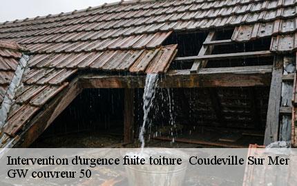 Intervention d'urgence fuite toiture   coudeville-sur-mer-50290 GW couvreur 50
