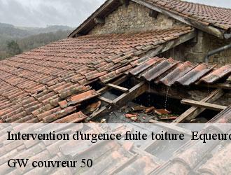 Intervention d'urgence fuite toiture   equeurdreville-hainneville-50120 GW couvreur 50