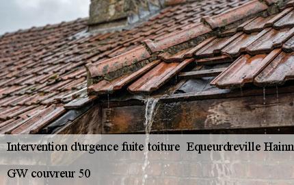 Intervention d'urgence fuite toiture   equeurdreville-hainneville-50120 GW couvreur 50