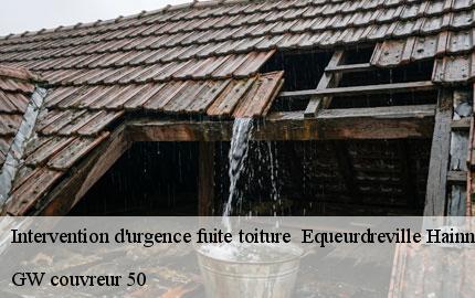 Intervention d'urgence fuite toiture   equeurdreville-hainneville-50120 GW couvreur 50