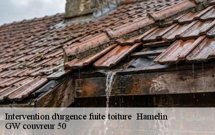 Intervention d'urgence fuite toiture hamelin-50730 GW couvreur 50