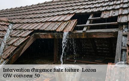 Intervention d'urgence fuite toiture   lozon-50570 GW couvreur 50