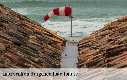 Intervention d'urgence fuite toiture   lozon-50570 GW couvreur 50